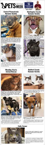 Pets of the Week March 22, 2026